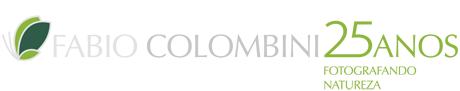 Fabio Colombini 25 anos